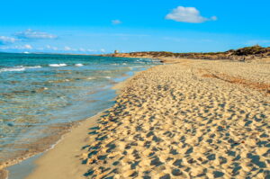 Es Cavallet Ibiza