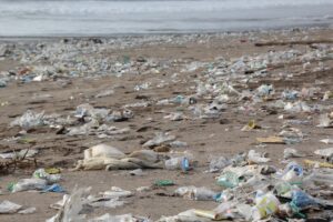 Wikinger Reisen: Mit Stofftaschen gegen Plastikmüll