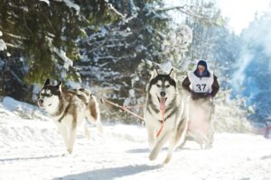 Winterurlaub